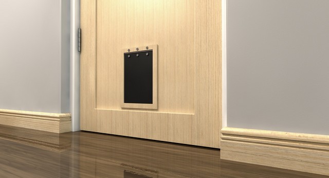 Cat Flap Installation Kilburn, Queens Park, West Hampstead, NW6
