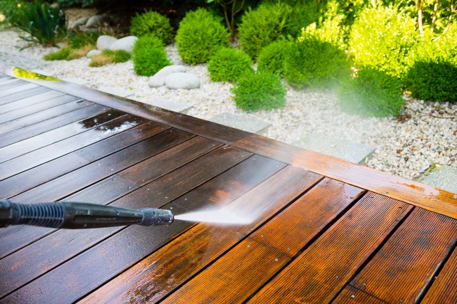 Garden Clearance Kilburn, Queens Park, West Hampstead, NW6